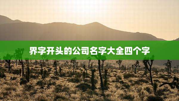 界字开头的公司名字大全四个字