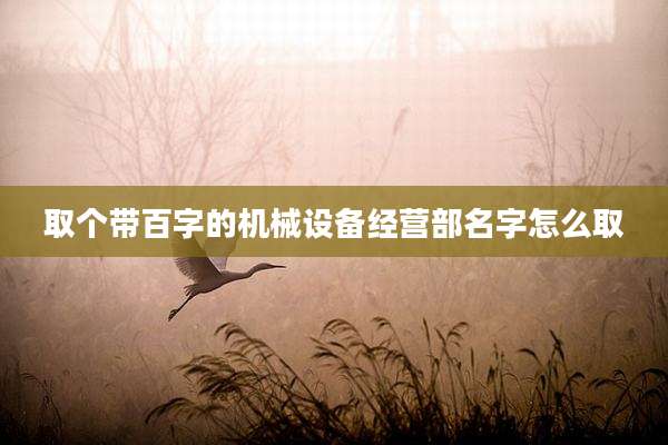 取个带百字的机械设备经营部名字怎么取
