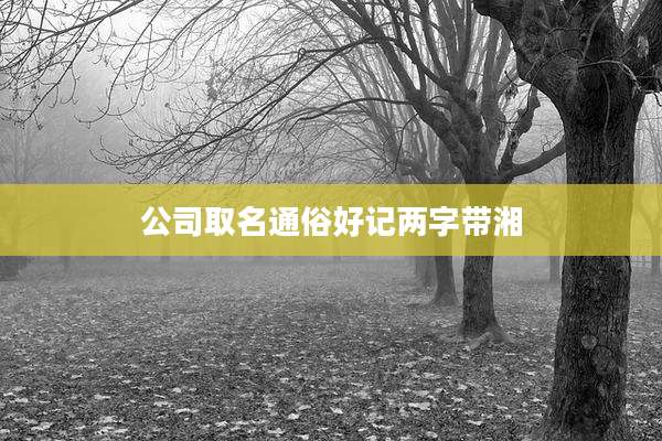 公司取名通俗好记两字带湘