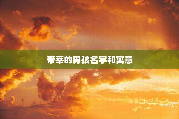 带莘的男孩名字和寓意