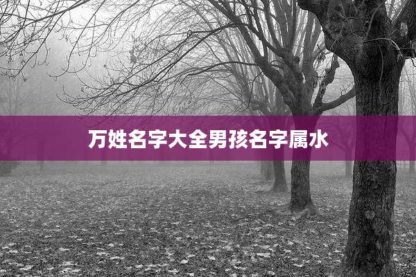 万姓名字大全男孩名字属水