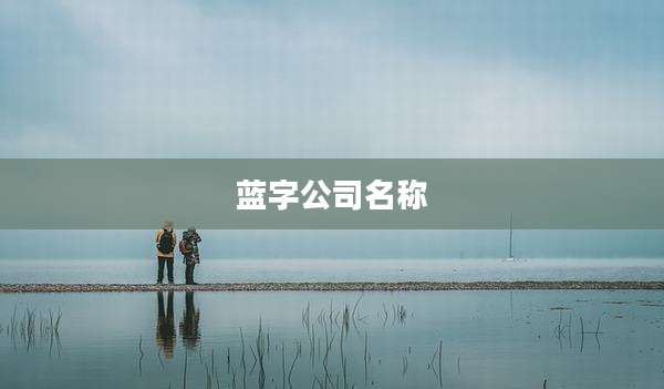 蓝字公司名称