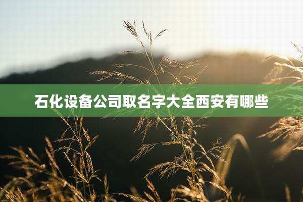 石化设备公司取名字大全西安有哪些