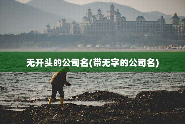 无开头的公司名(带无字的公司名)