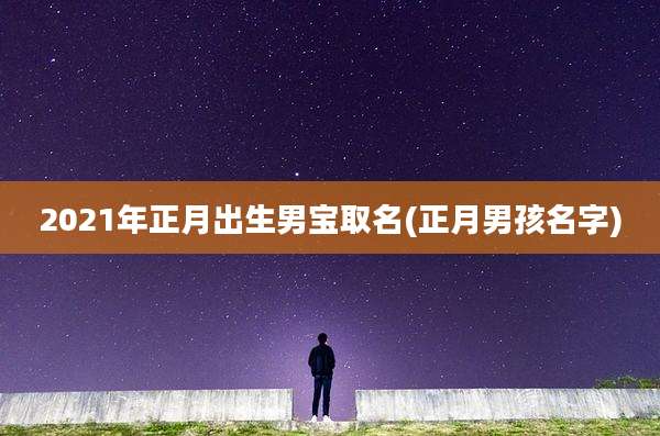 2021年正月出生男宝取名(正月男孩名字)