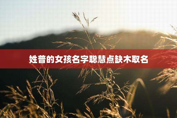 姓普的女孩名字聪慧点缺木取名