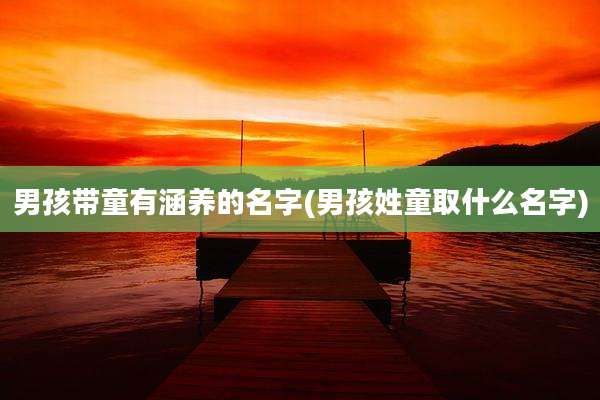 男孩带童有涵养的名字(男孩姓童取什么名字)