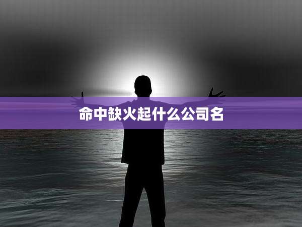命中缺火起什么公司名