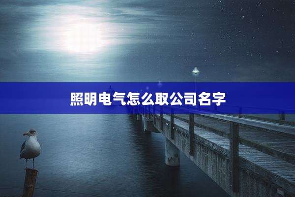 照明电气怎么取公司名字