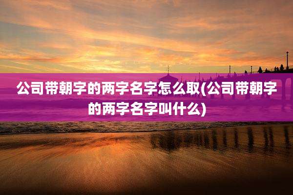公司带朝字的两字名字怎么取(公司带朝字的两字名字叫什么)