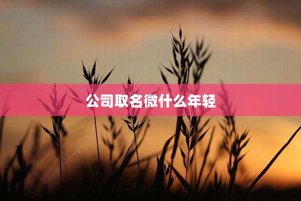 公司取名微什么年轻