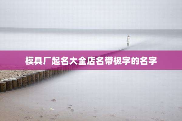 模具厂起名大全店名带极字的名字