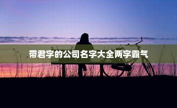 带君字的公司名字大全两字霸气