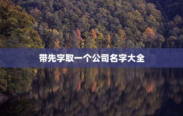 带先字取一个公司名字大全