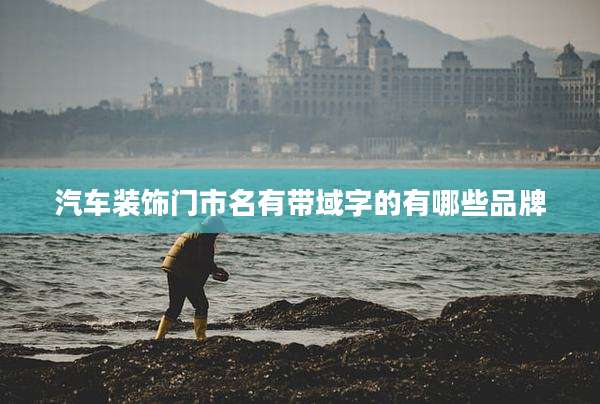 汽车装饰门市名有带域字的有哪些品牌