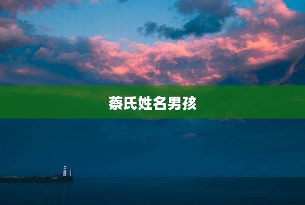 蔡氏姓名男孩