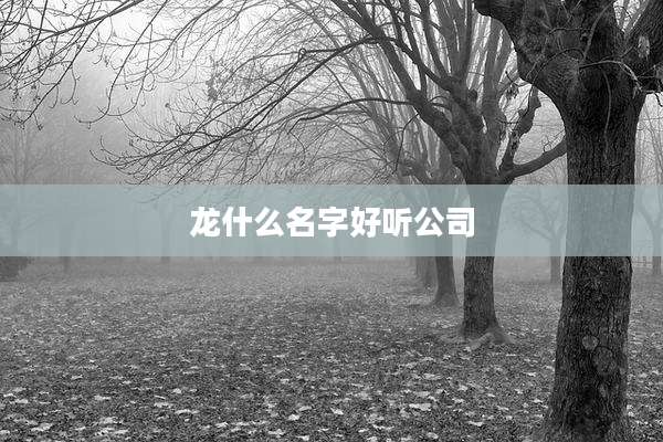 龙什么名字好听公司