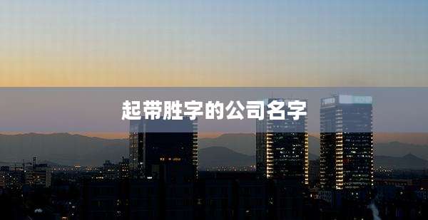 起带胜字的公司名字