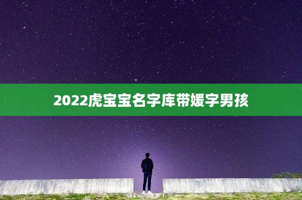 2022虎宝宝名字库带媛字男孩