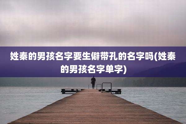 姓秦的男孩名字要生僻带孔的名字吗(姓秦的男孩名字单字)