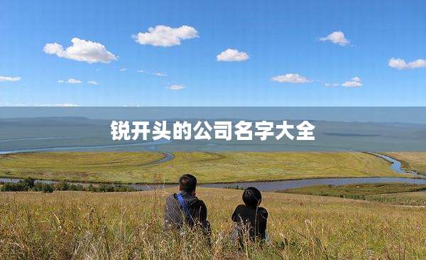锐开头的公司名字大全