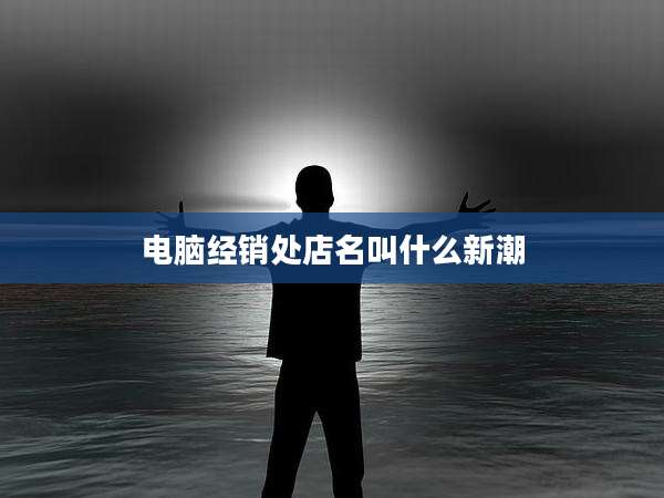 电脑经销处店名叫什么新潮