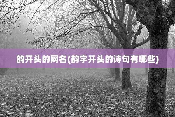 韵开头的网名(韵字开头的诗句有哪些)