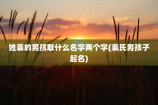 姓裴的男孩取什么名字两个字(裴氏男孩子起名)
