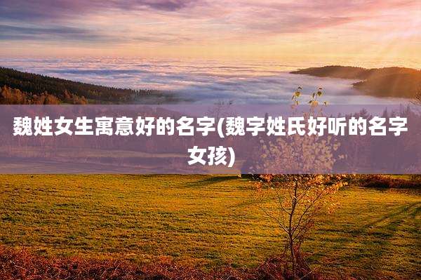 魏姓女生寓意好的名字(魏字姓氏好听的名字女孩)