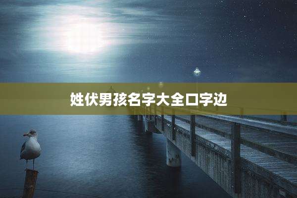 姓伏男孩名字大全口字边