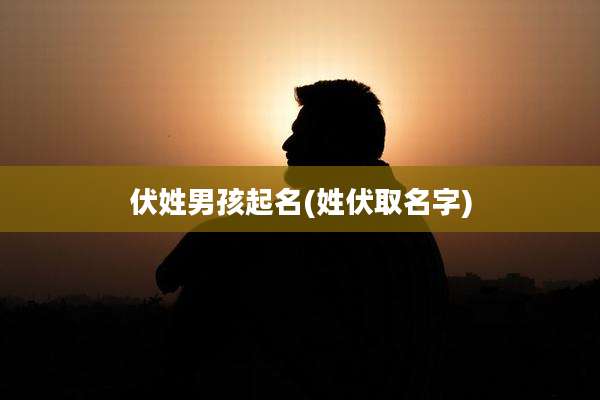 伏姓男孩起名(姓伏取名字)