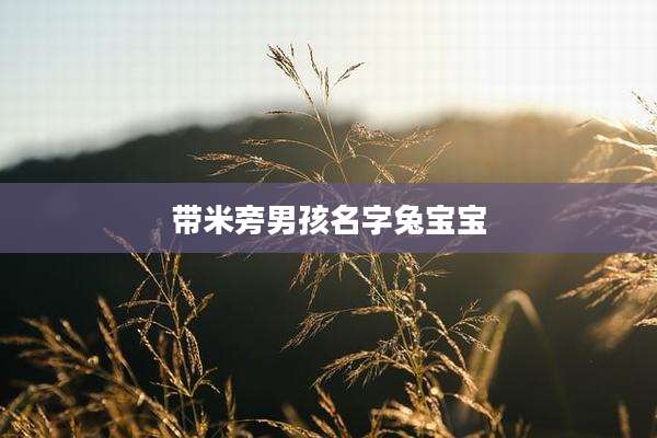 带米旁男孩名字兔宝宝