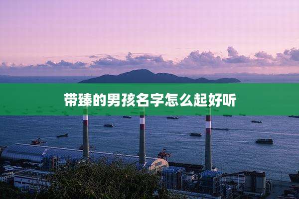 带臻的男孩名字怎么起好听