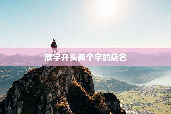 欣字开头两个字的店名