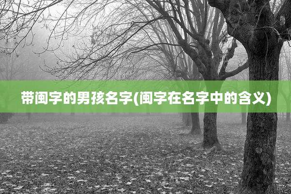 带闽字的男孩名字(闽字在名字中的含义)
