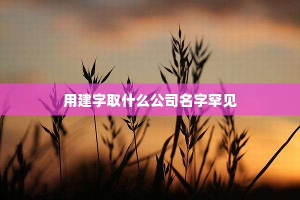 用建字取什么公司名字罕见