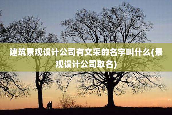 建筑景观设计公司有文采的名字叫什么(景观设计公司取名)