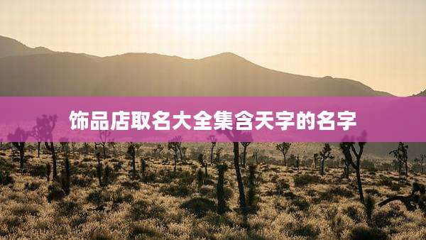 饰品店取名大全集含天字的名字