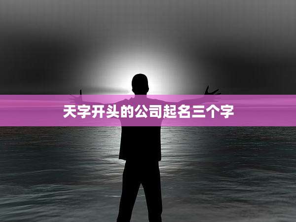 天字开头的公司起名三个字