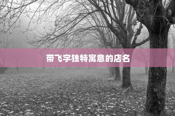 带飞字独特寓意的店名