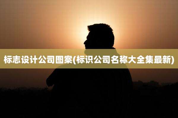 标志设计公司图案(标识公司名称大全集最新)