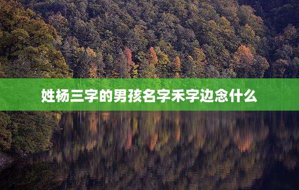 姓杨三字的男孩名字禾字边念什么