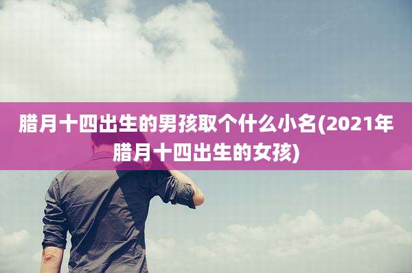 腊月十四出生的男孩取个什么小名(2021年腊月十四出生的女孩)