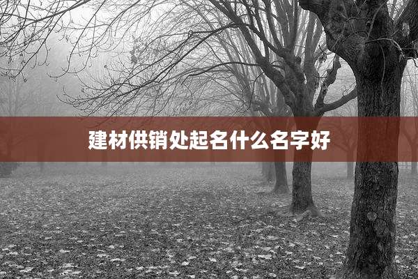 建材供销处起名什么名字好