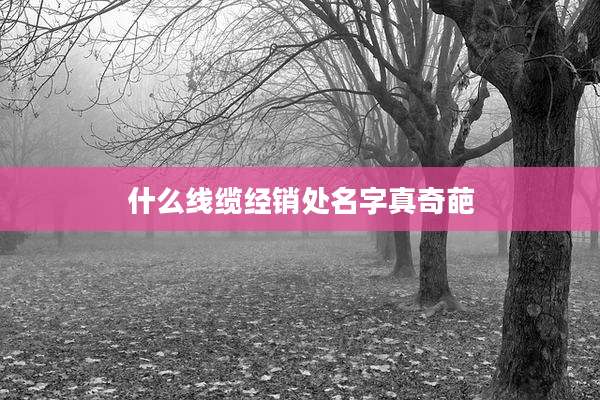 什么线缆经销处名字真奇葩
