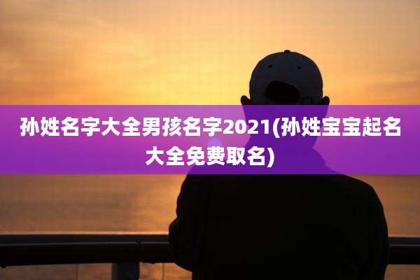 孙姓名字大全男孩名字2021(孙姓宝宝起名大全免费取名)