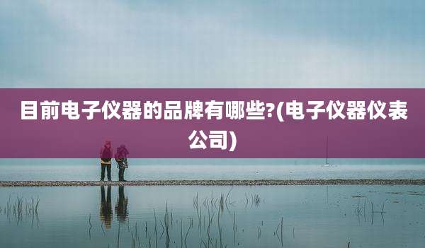目前电子仪器的品牌有哪些?(电子仪器仪表公司)