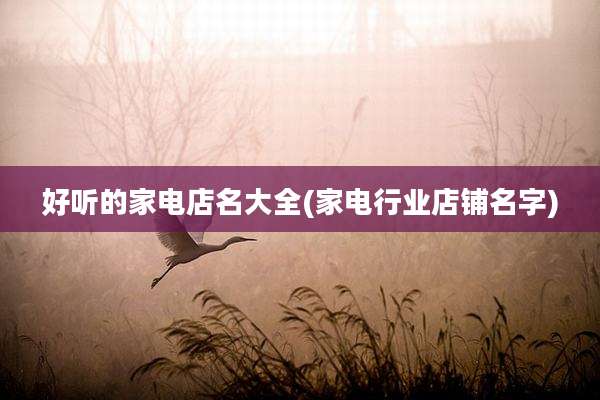 好听的家电店名大全(家电行业店铺名字)