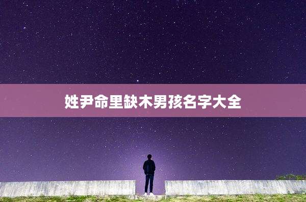 姓尹命里缺木男孩名字大全