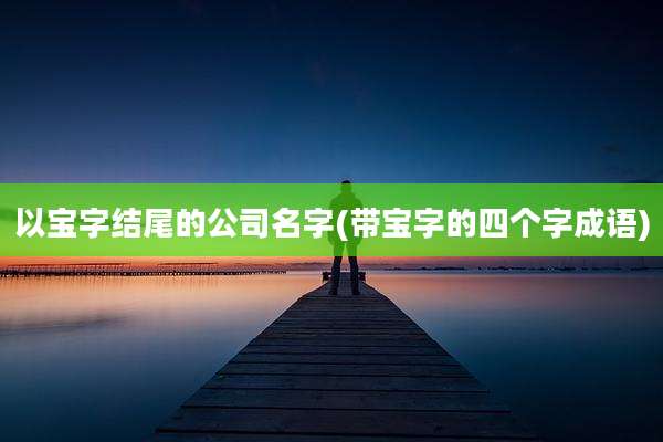 以宝字结尾的公司名字(带宝字的四个字成语)